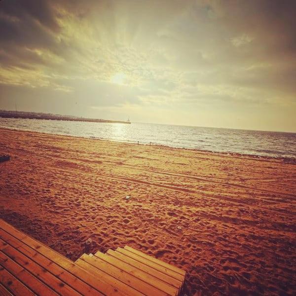 Darıca Sporkoey Hotel & Beach Club מראה חיצוני תמונה